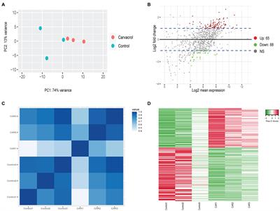 Transcriptomic Responses of Mycoplasma bovis Upon Treatments of trans-Cinnamaldehyde, Carvacrol, and Eugenol